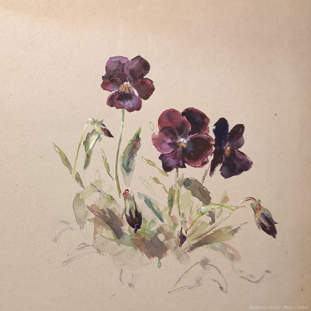 Botanische Malerei - Künstlerin Bertha Treusch von Buttlar-Brandenfels