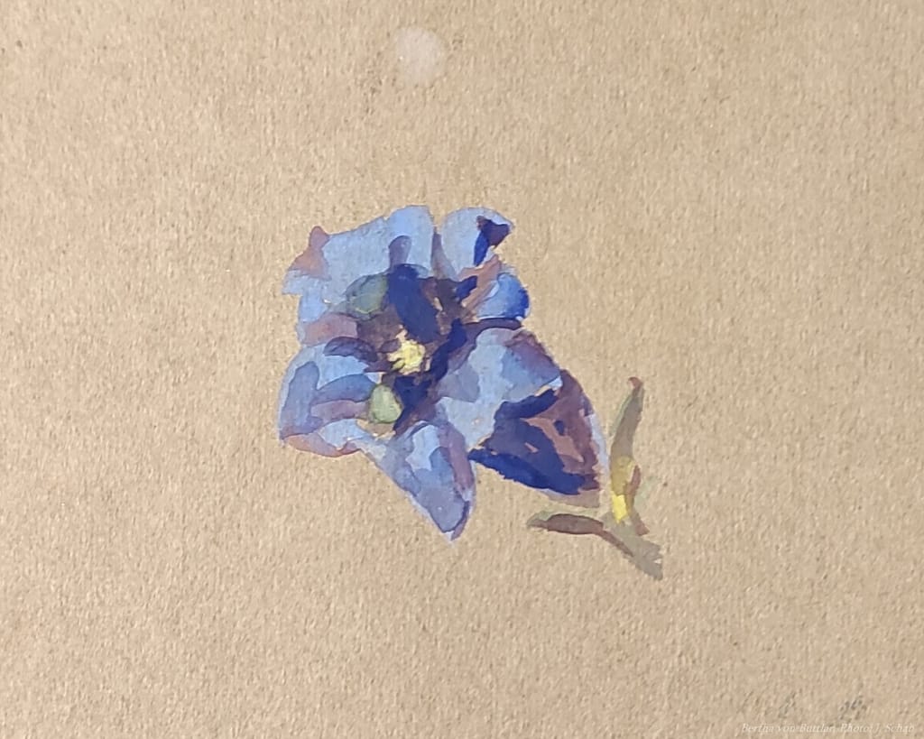 Enzian -Tempera - Künstlerin Bertha von Buttlar