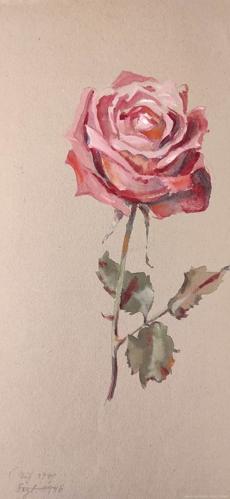 Botanische Malerei - Künstlerin Bertha Treusch von Buttlar-Brandenfels